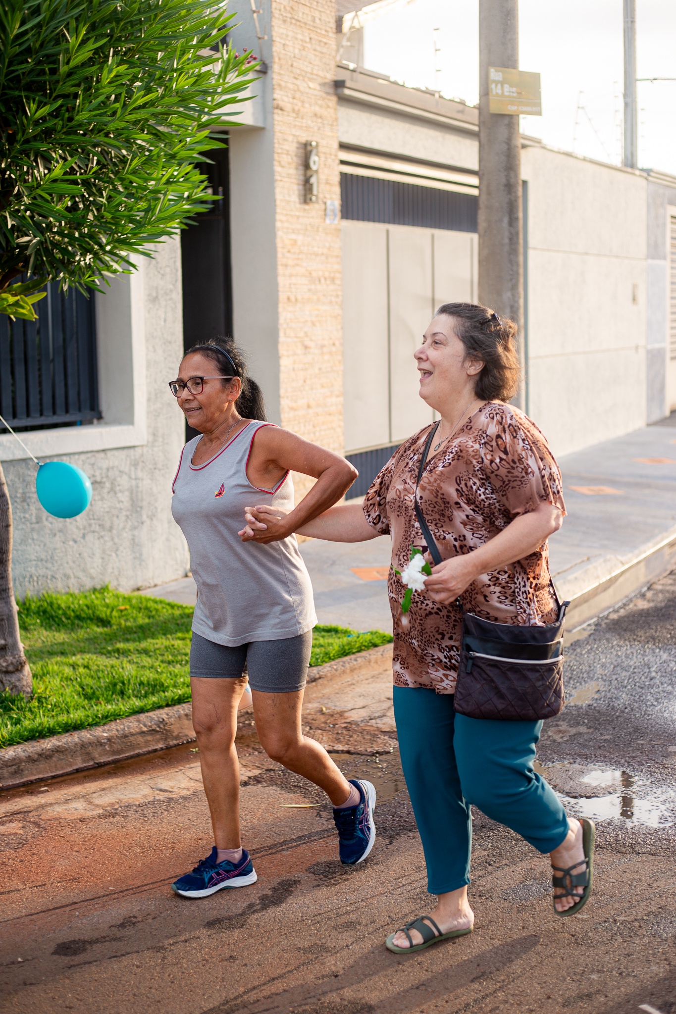 Descrição da Imagem 151